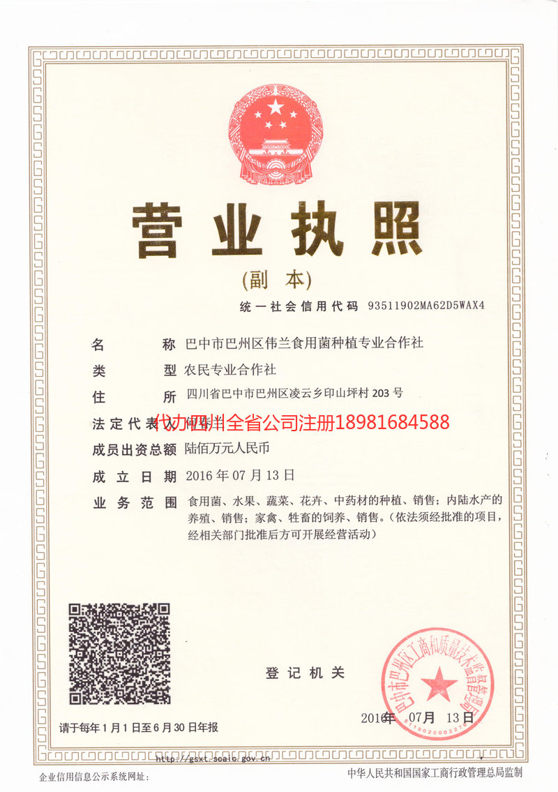 乐山乐山伟兰食用菌种植专业合作社